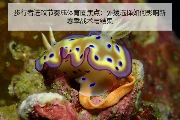 步行者进攻节奏成体育圈焦点：外援选择如何影响新赛季战术与结果